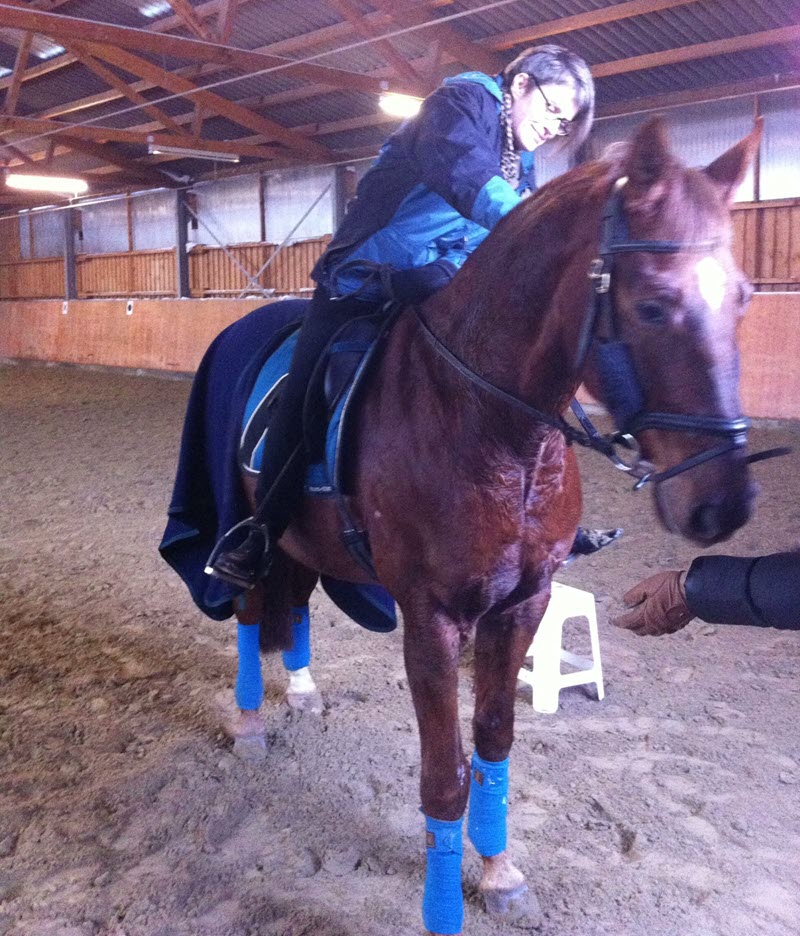 Mind Brain Foundation Supports GallopNYC. Here, Regina on horseback.